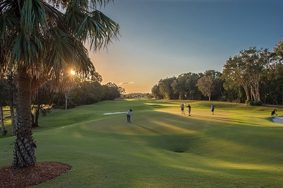 Golf-8 MR LR Noosa Springs