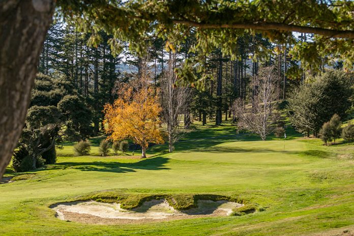 Otag0-Looking-towards-17-Green-2019 Otago Golf Club looking towards the 17th Green (Supplied)